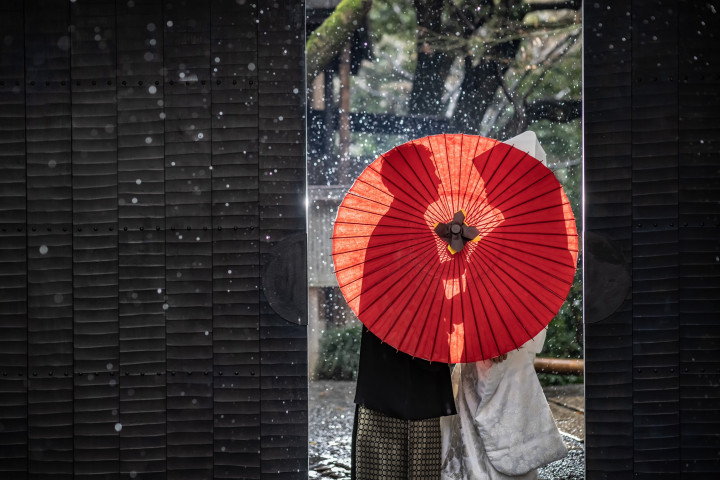 fumiさんの前撮りの写真