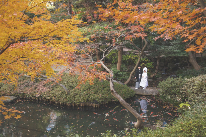 あささんの当日撮影の写真