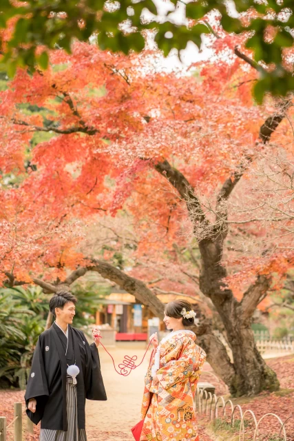 ユウさんの撮影小物の写真