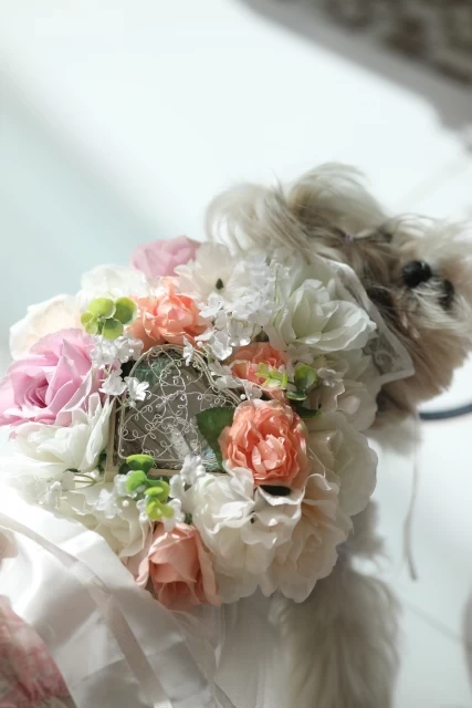 sさんのリングピローの写真