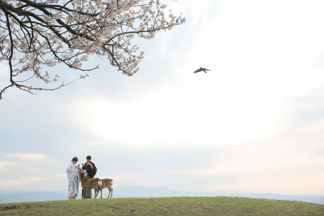 mayu＊さんの前撮りの写真