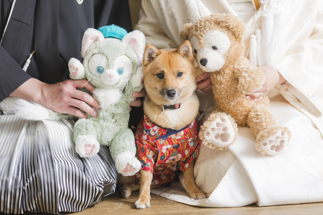 ひなちゃんまんさんの前撮りの写真