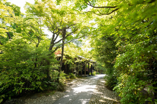 ぽんぽこさんの挙式・披露宴の写真