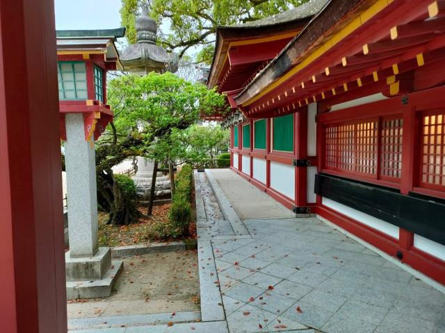 koroさんの挙式・披露宴の写真