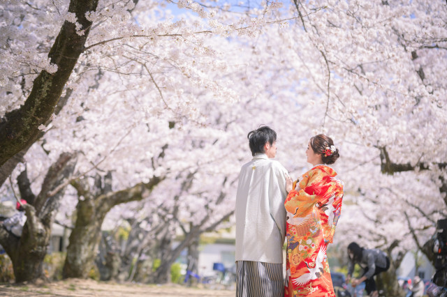 つんさんの前撮りの写真