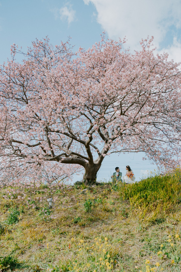 misaさんの前撮りの写真