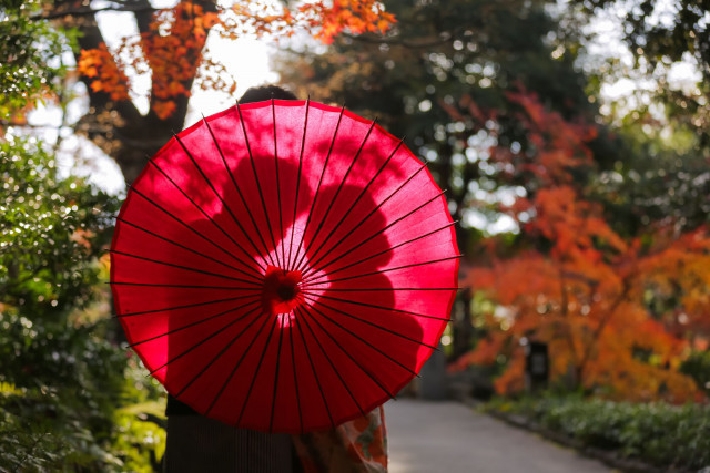 みきさんの前撮りの写真