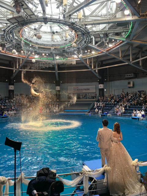 たくさんの挙式・披露宴の写真