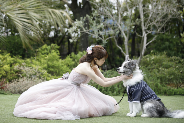 犬も参加の結婚式