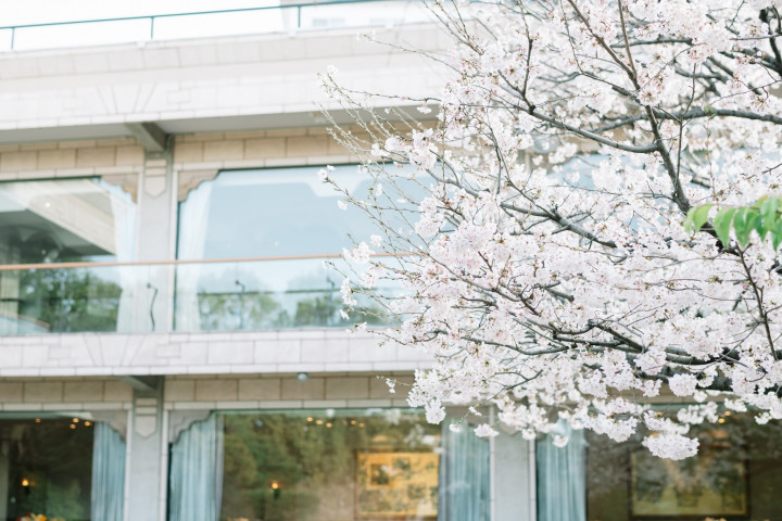 満開の桜の下で、美味しいお料理と貸切邸宅のアットホームなパーティー