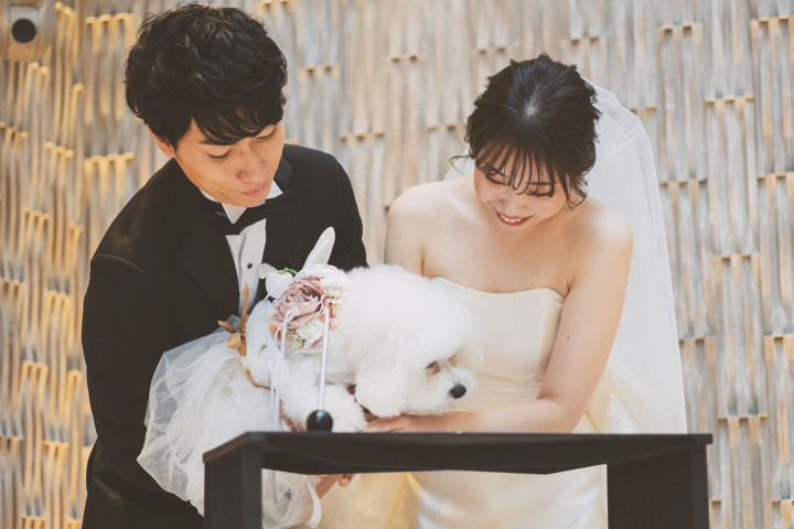 はるさんの結婚証明書の写真