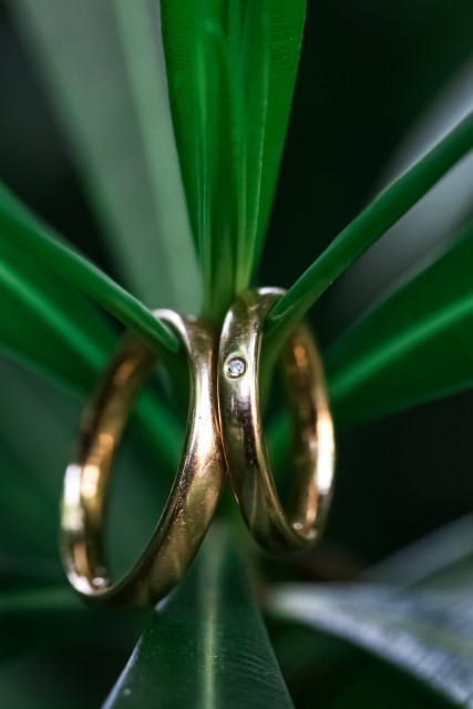 Asuさんの結婚指輪の写真