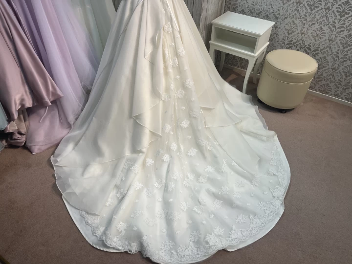 ぽんさんのウエディングドレスの写真
