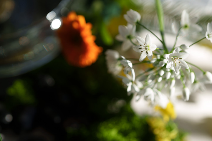 サンさんの装花の写真