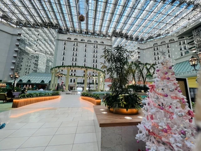 ぴょんさんの挙式・披露宴の写真