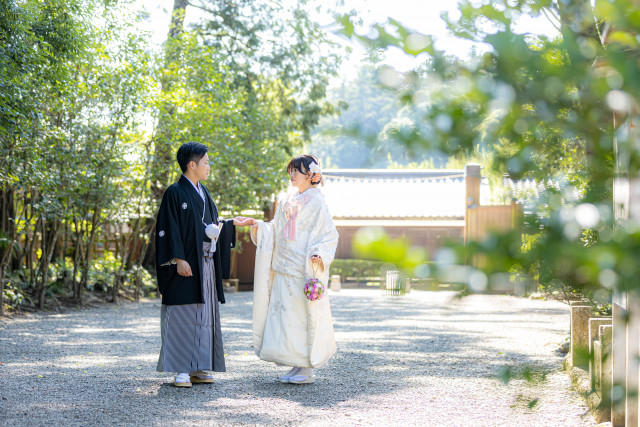 ねもちんさんの前撮りの写真