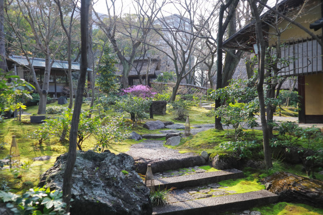 あずきさんの挙式・披露宴の写真