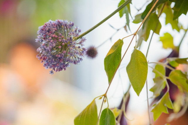 ハルカさんの装花の写真