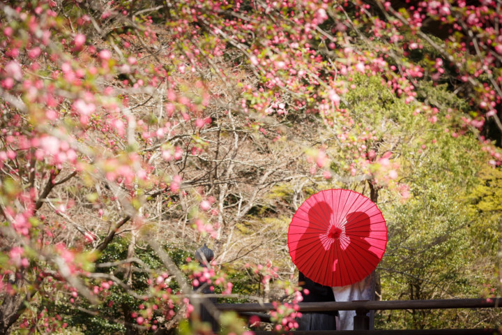 yukkaさんの前撮りの写真