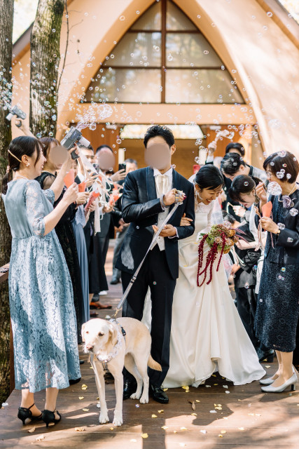 しほさんの挙式・披露宴の写真