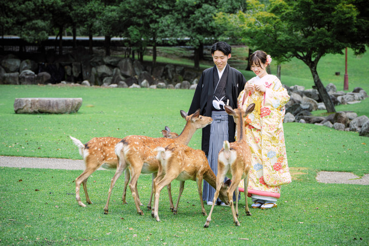 みおさんの前撮りの写真