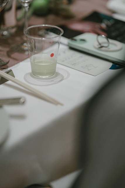 きゅうりさんのプログラムの写真