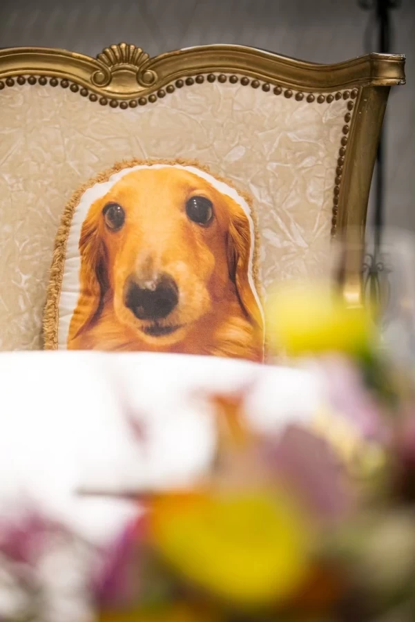 ③犬オーダー受付パネル（ハンカチ） パネル生地 犬柄 69 ガーゼ