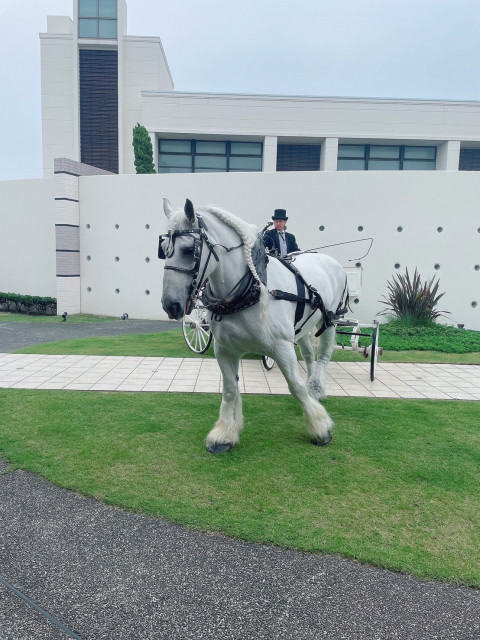 ニックさんの演出アイテムの写真