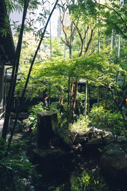 カイジさんの挙式の写真