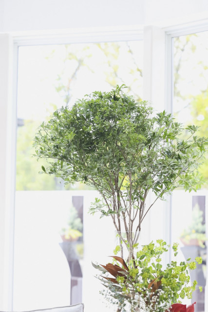 coconさんの挙式・披露宴の写真