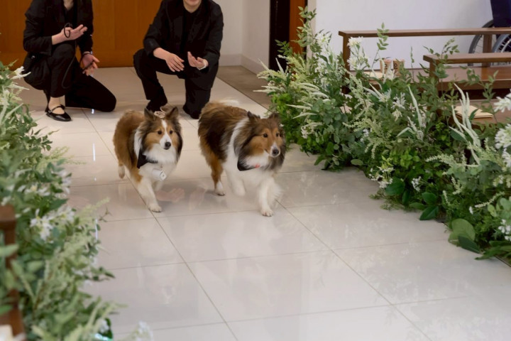 あゆちんさんの装花の写真