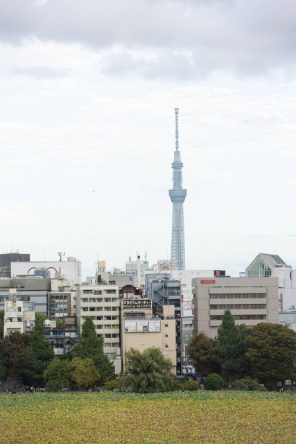 ひとみさんの披露宴の写真