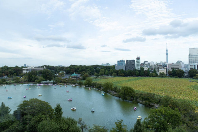 ひとみさんの披露宴の写真