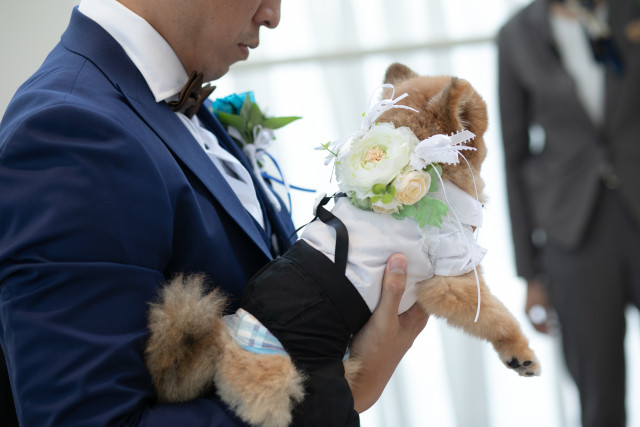 ぴっぴさんのリングピローの写真