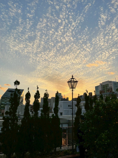 なーさんの挙式・披露宴の写真