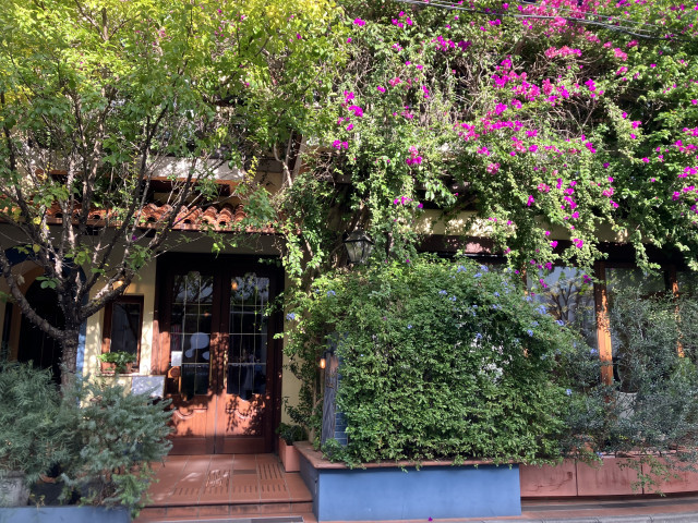 なーさんの挙式・披露宴の写真