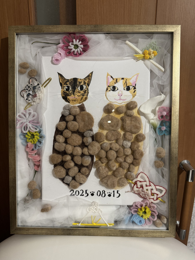 リス犬さんの結婚証明書の写真