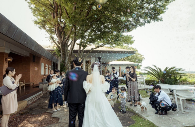 でめさんの挙式・披露宴の写真