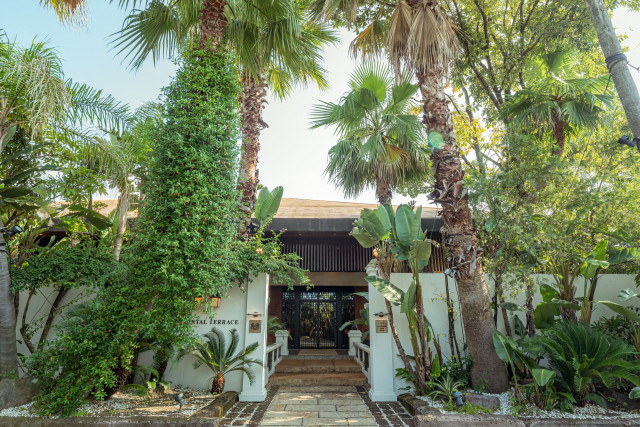 でめさんの挙式・披露宴の写真