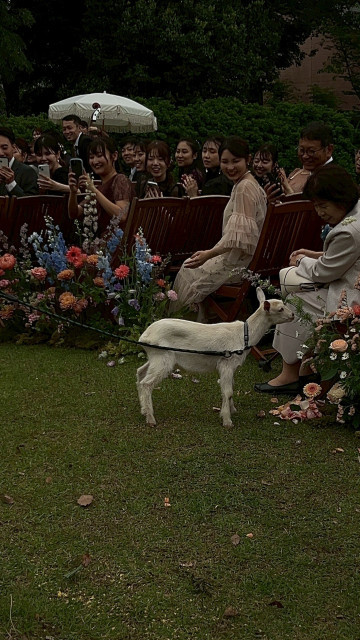 haruさんの装花の写真