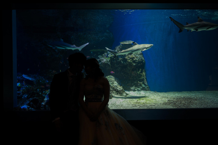 えびびさんの前撮りの写真