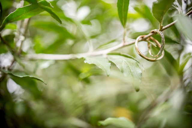 えりなさんのウエディングドレスの写真