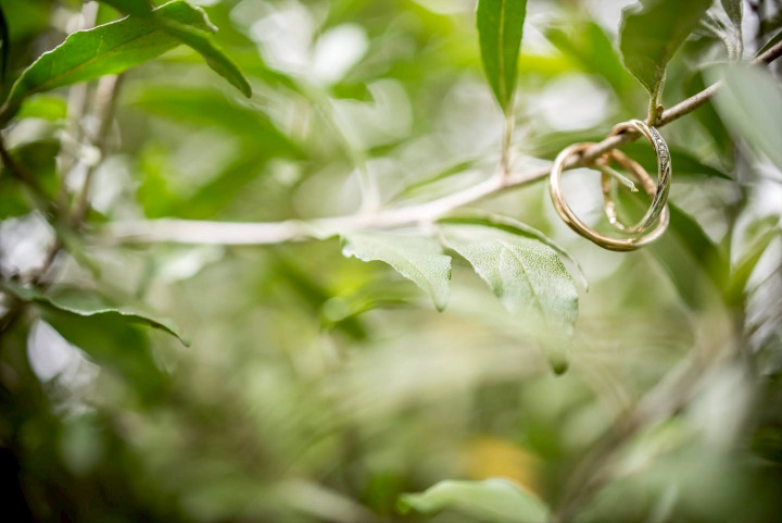 えりなさんのウエディングドレスの写真