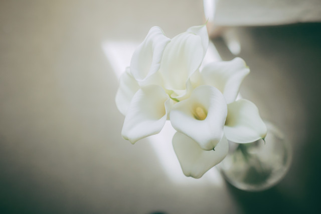 ちゃんなさんのブーケ・ブートニアの写真