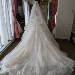 ぽんさんのウエディングドレスの写真