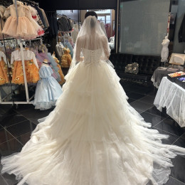 ぽんさんのウエディングドレスの写真