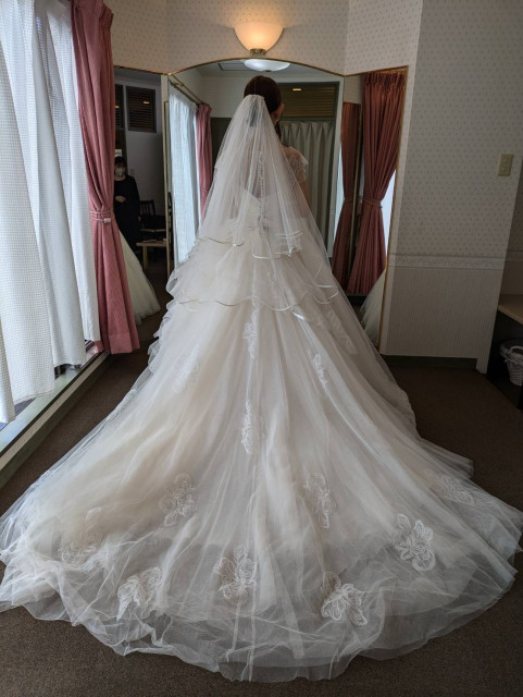 ぽんさんのウエディングドレスの写真