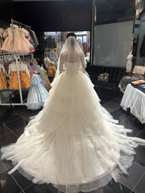 ぽんさんのウエディングドレスの写真