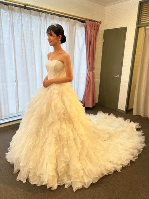 ぽんさんのウエディングドレスの写真