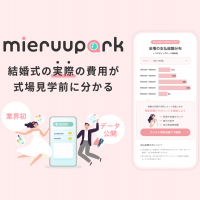 mieruupark